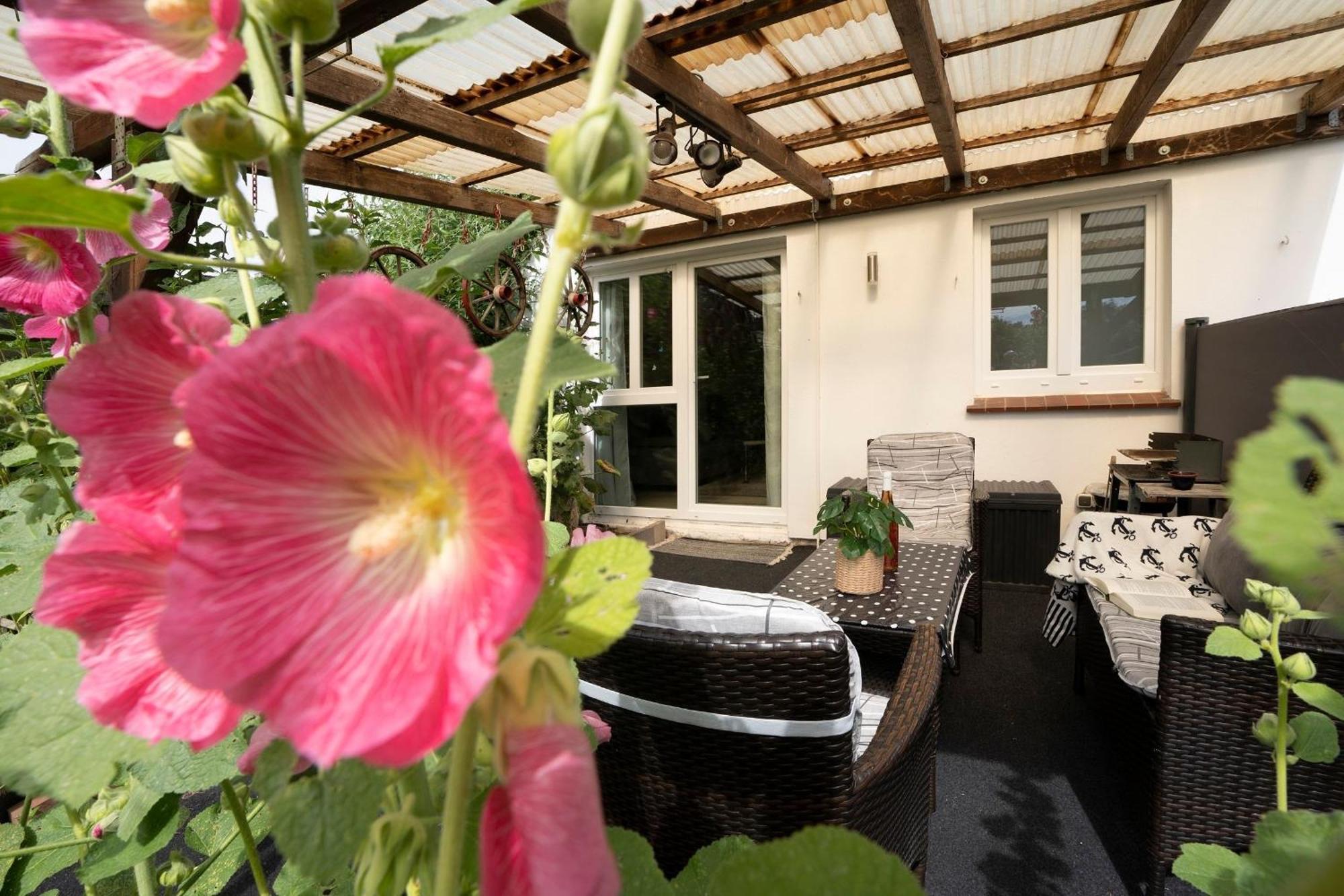 Ferienwohnung Haus Waldfrieden Ferienhäuschen Waldfrieden Haffkrug Exterior foto