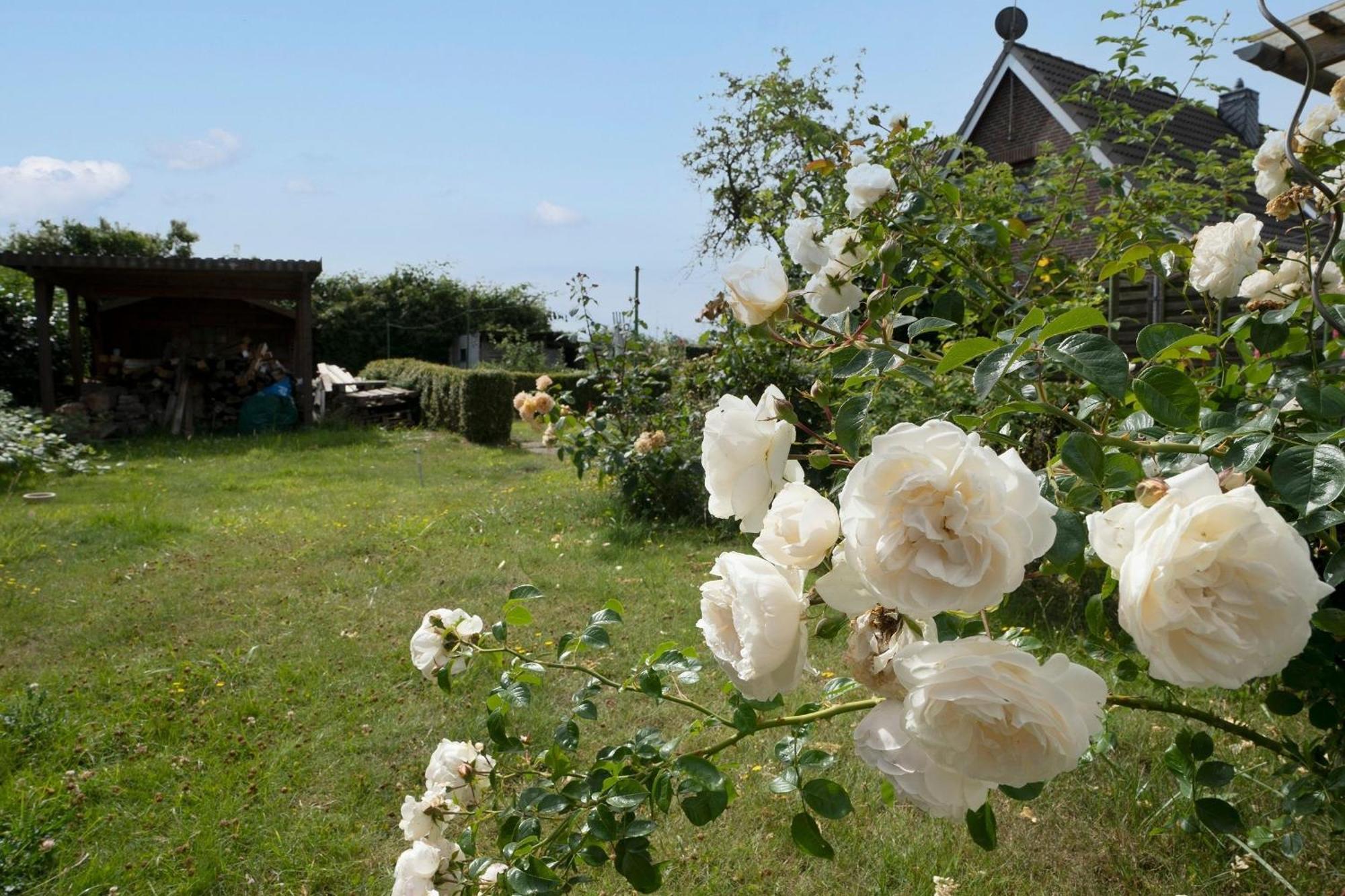 Ferienwohnung Haus Waldfrieden Ferienhäuschen Waldfrieden Haffkrug Exterior foto